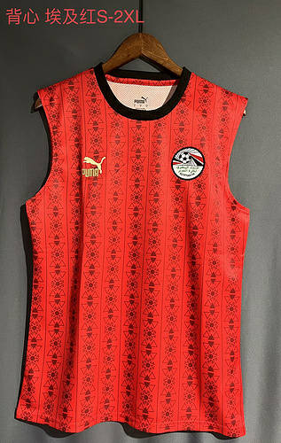 2023 Egypt Home Soccer Vest