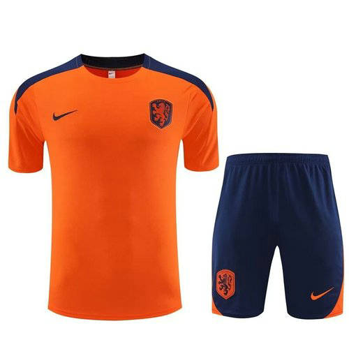 23/24 Netherlands Training Soccer Jerseys