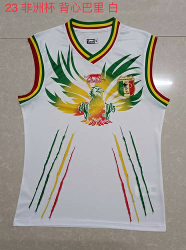 23/24 Mali Soccer Vest