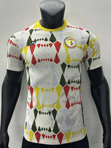 2024 Senegal Training Player Version Soccer Jerseys