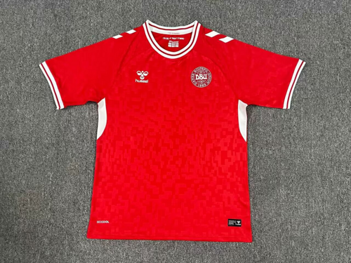 2024 Denmark Home Soccer Jerseys