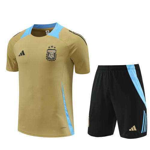 2024 Argentina Training Soccer Jerseys