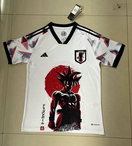 2024 Japan Special Soccer Jerseys