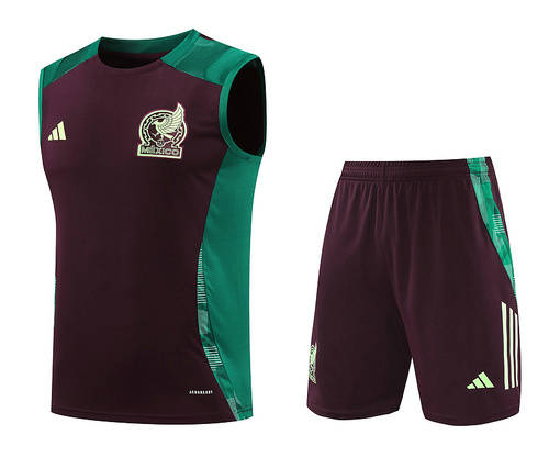 2024 Mexico Soccer Vest